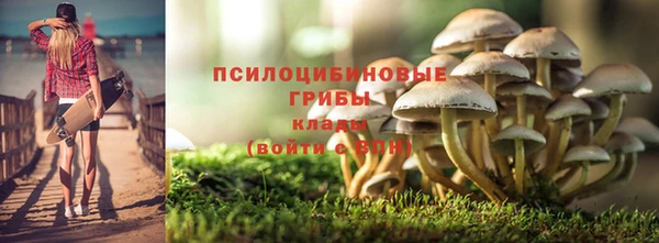 а пвп мука Алзамай