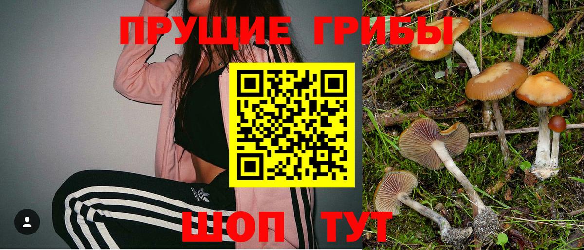 Галлюциногенные грибы GOLDEN TEACHER  Псилоцибиновые грибы Magic Shrooms  Вход с VPN  Десногорск 