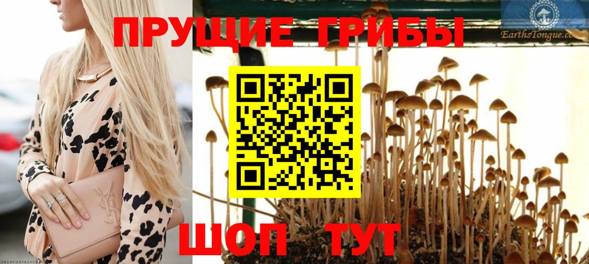 ТГК Десногорск